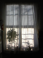 f&ouml;nstret i k&ouml;ket